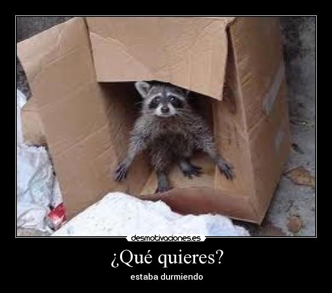¿Qué quieres? - 