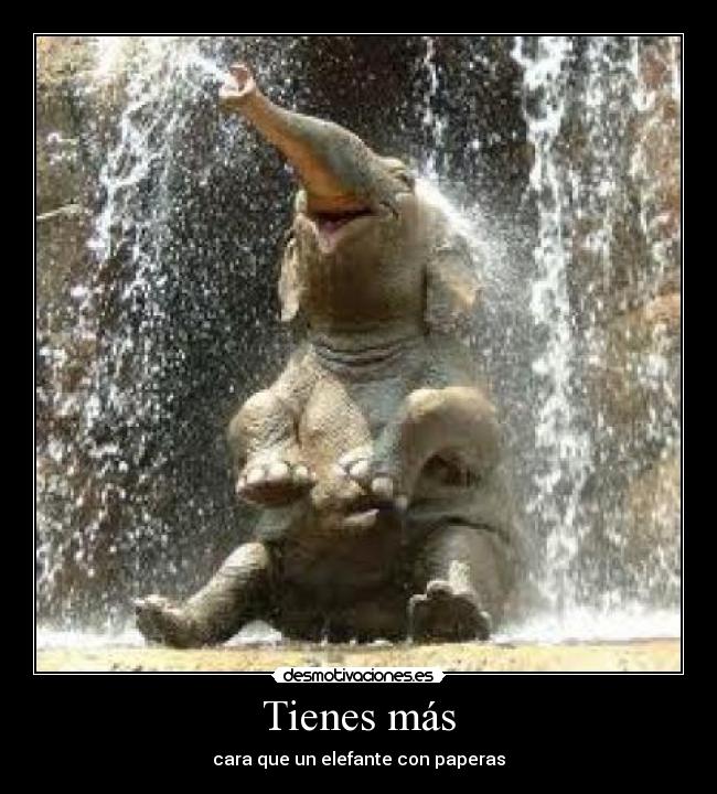 Tienes más - cara que un elefante con paperas