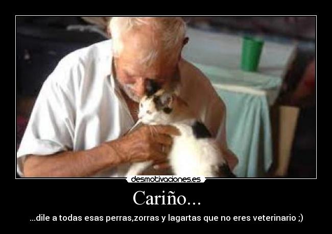 Cariño... - ...dile a todas esas perras,zorras y lagartas que no eres veterinario ;)