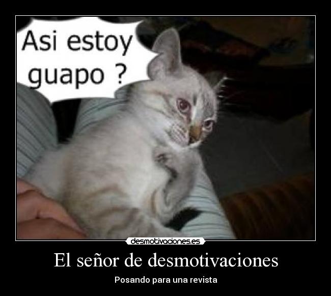 El señor de desmotivaciones - Posando para una revista