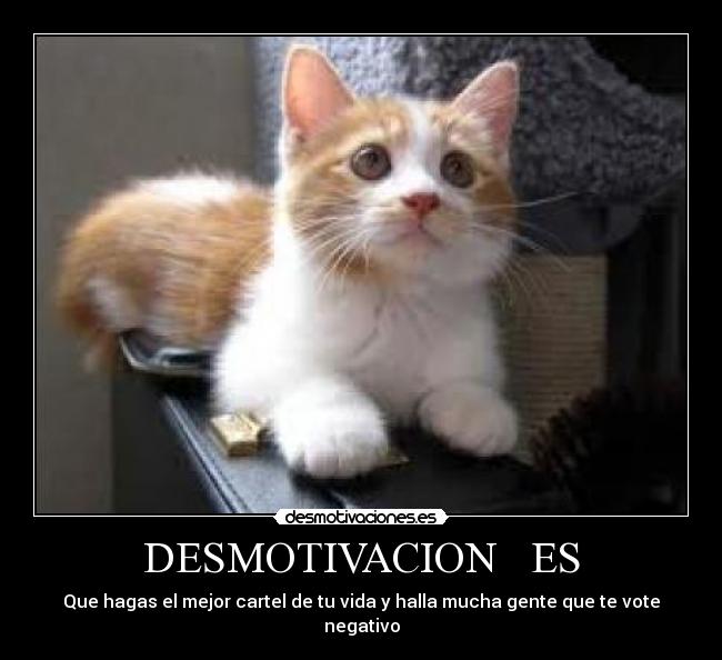 carteles  desmotivaciones