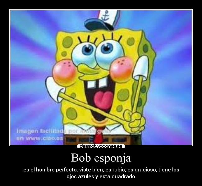 Bob esponja - es el hombre perfecto: viste bien, es rubio, es gracioso, tiene los
ojos azules y esta cuadrado.