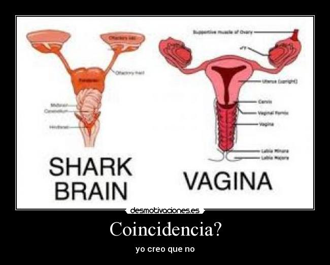 Coincidencia? - 