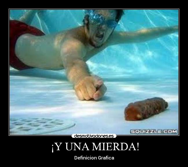 ¡Y UNA MIERDA! - Definicion Grafica