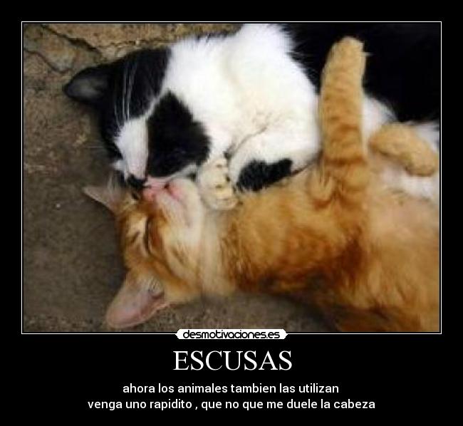 ESCUSAS - ahora los animales tambien las utilizan
venga uno rapidito , que no que me duele la cabeza