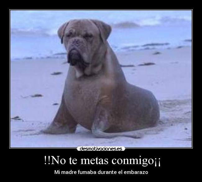 !!No te metas conmigo¡¡ - Mi madre fumaba durante el embarazo