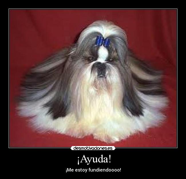 ¡Ayuda! - ¡Me estoy fundiendoooo!