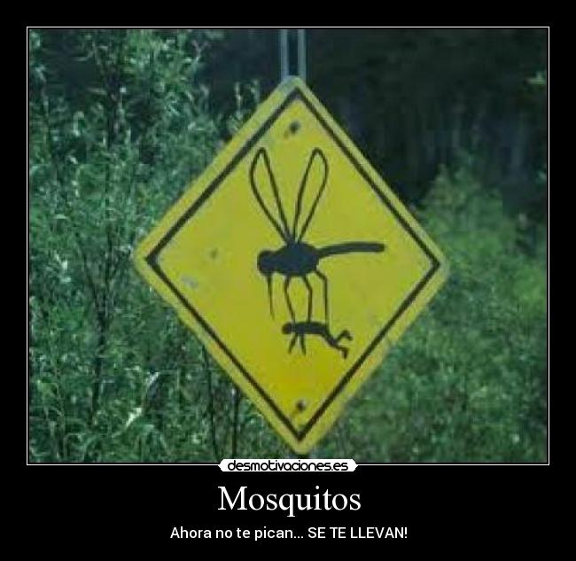 Mosquitos -
