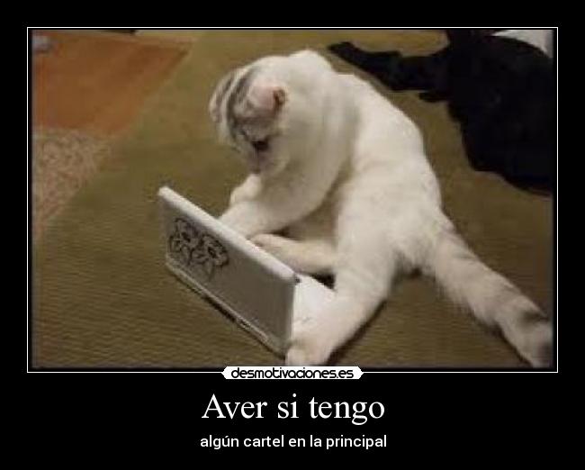 Aver si tengo - 