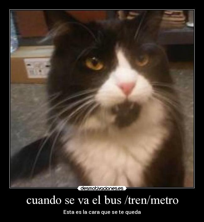 cuando se va el bus /tren/metro -