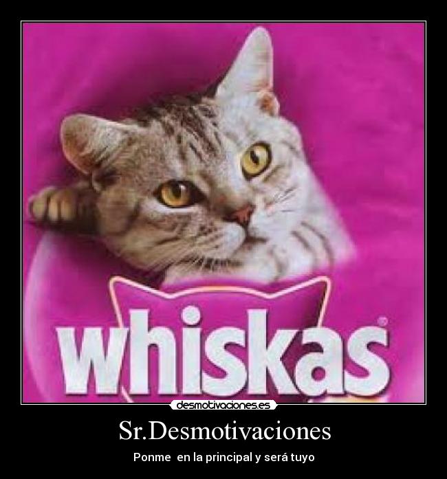 Sr.Desmotivaciones - 