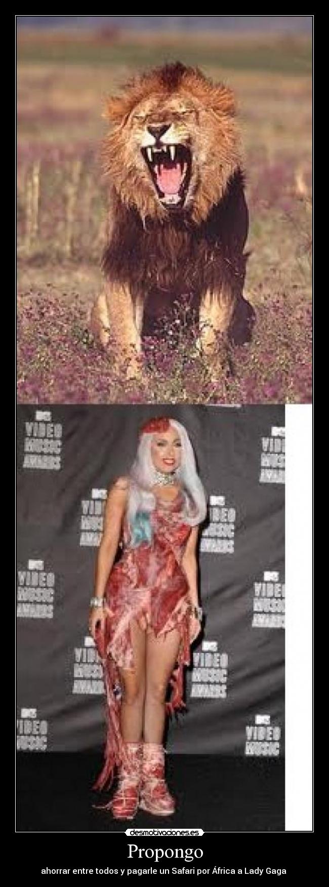 Propongo - ahorrar entre todos y pagarle un Safari por África a Lady Gaga