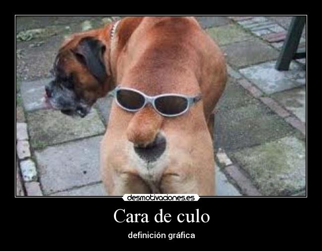 Cara de culo - definición gráfica