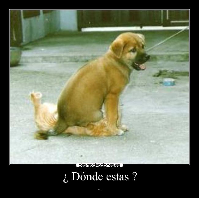 ¿ Dónde estas ? - ...