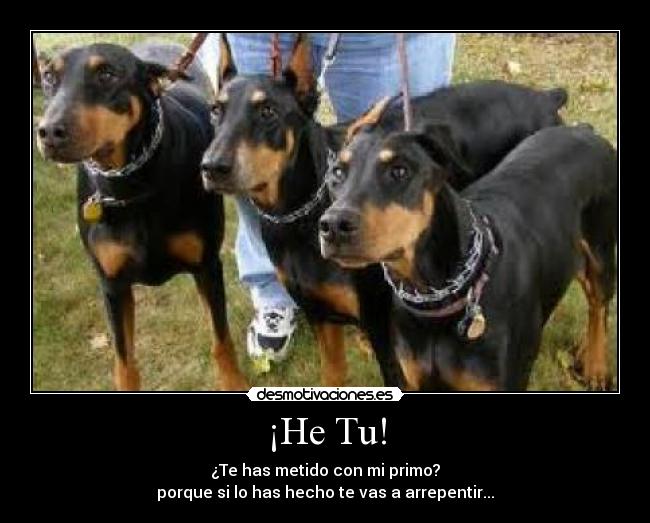 ¡He Tu! - ¿Te has metido con mi primo?
porque si lo has hecho te vas a arrepentir...