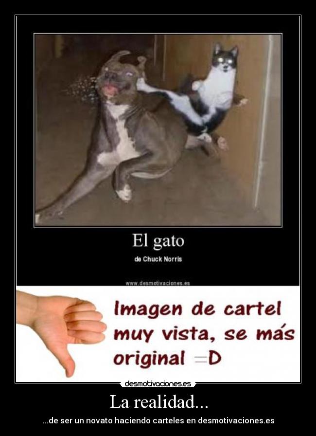 carteles realidad desmotivaciones