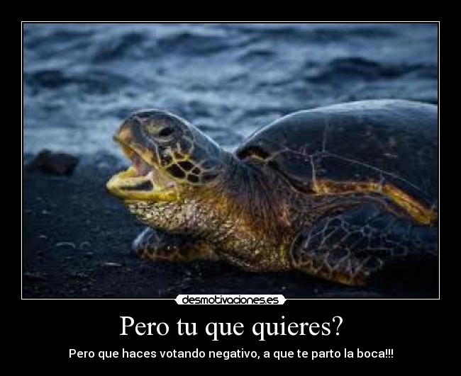 carteles tortugavacilona desmotivaciones