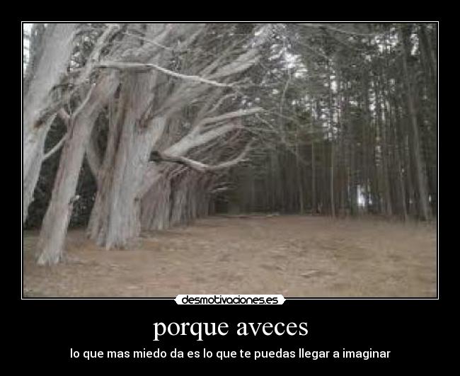 porque aveces - 