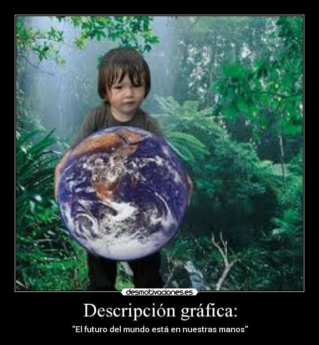 Descripción gráfica: - 