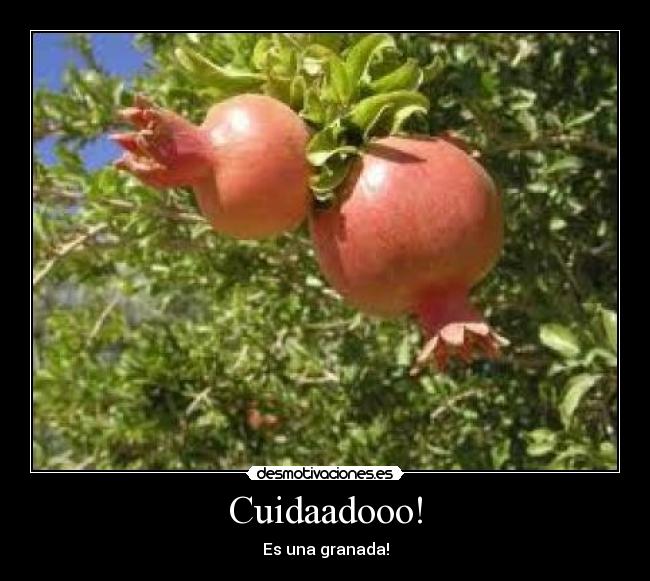 Cuidaadooo! - Es una granada!