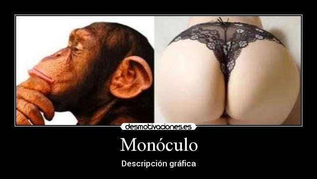 Monóculo - 