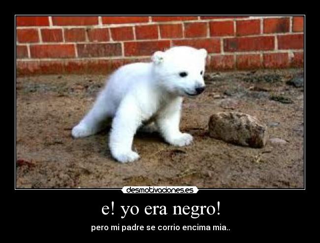 e! yo era negro! -