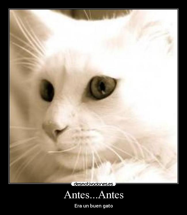 Antes...Antes - 