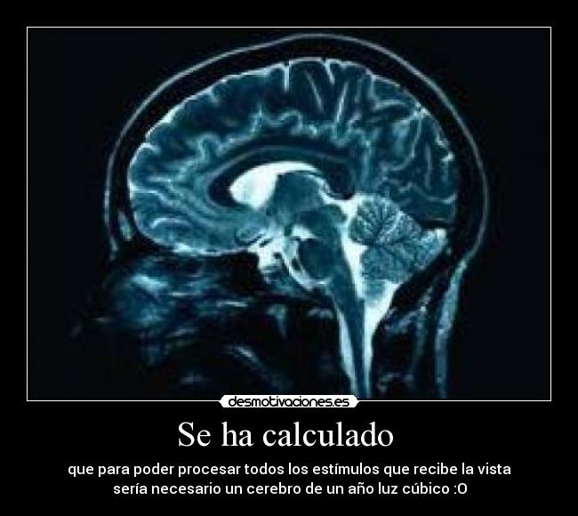 Se ha calculado  - que para poder procesar todos los estímulos que recibe la vista
sería necesario un cerebro de un año luz cúbico :O