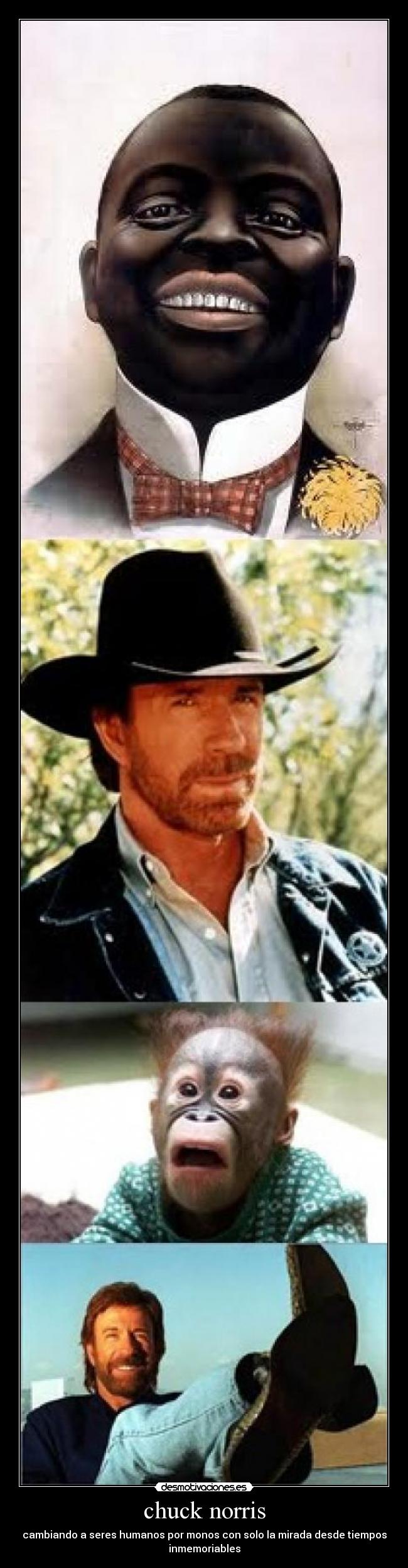 chuck norris -