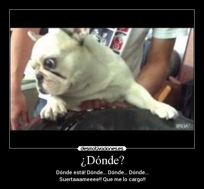 ¿Dónde? -