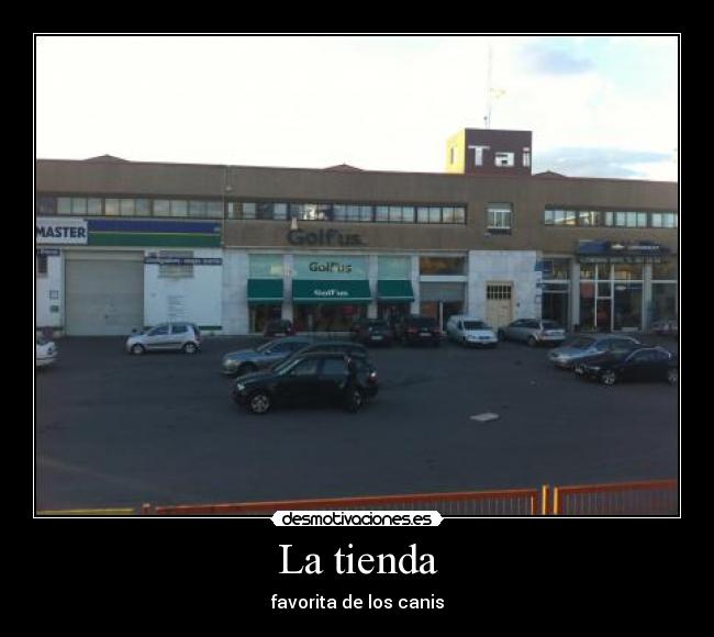 La tienda - favorita de los canis