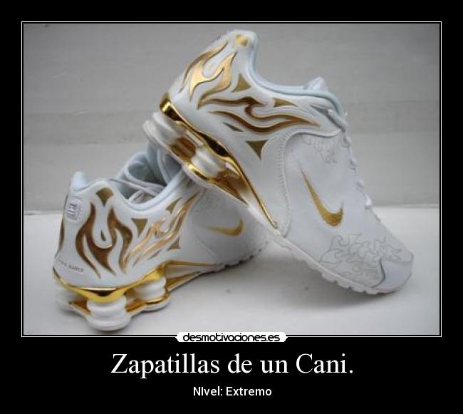 Zapatillas de un Cani. - NIvel: Extremo