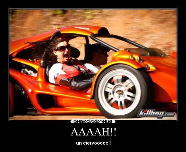 AAAAH!! - un ciervooooo!!