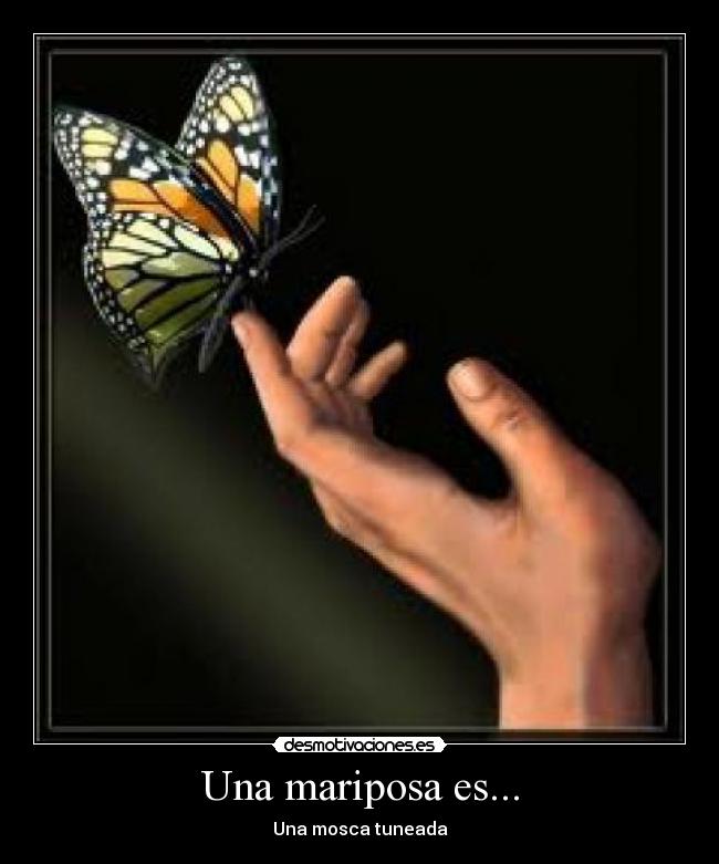 Una mariposa es... - 