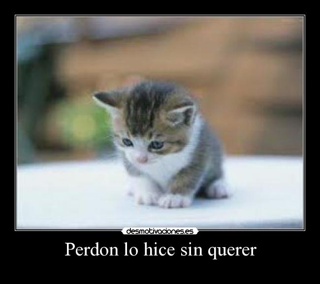 Perdon lo hice sin querer -