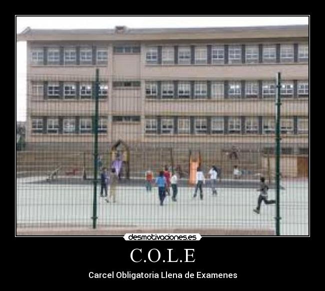 C.O.L.E - Carcel Obligatoria Llena de Examenes