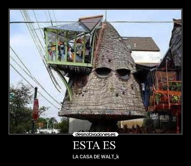 ESTA ES  - LA CASA DE WALT_k