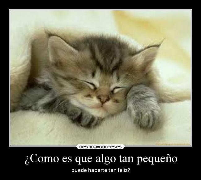 carteles  desmotivaciones