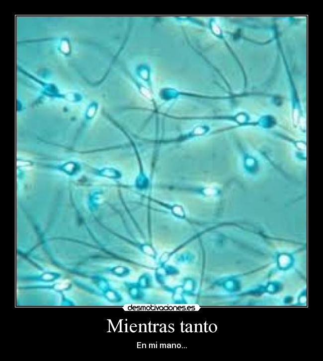 Mientras tanto - En mi mano...