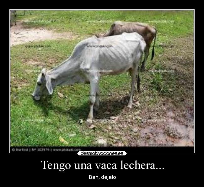 Tengo una vaca lechera... - 