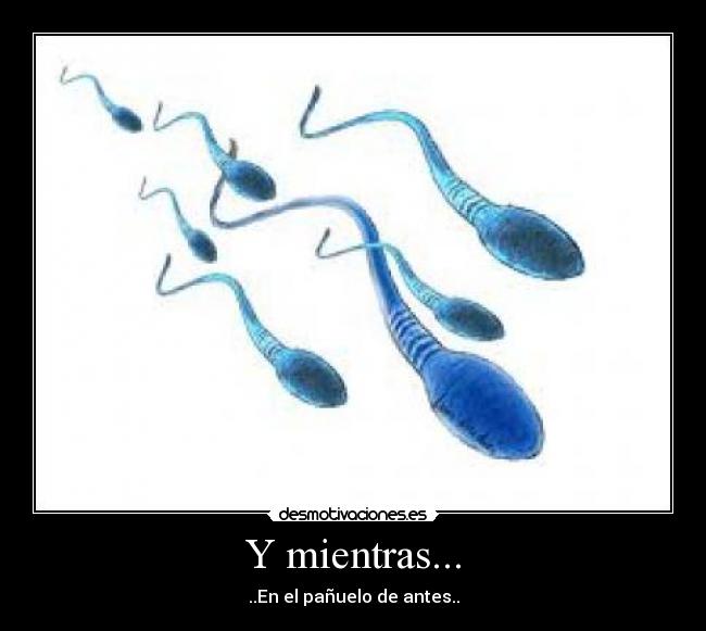 Y mientras... - 