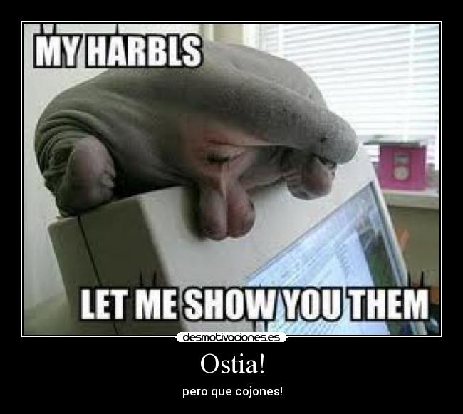Ostia! - pero que cojones!