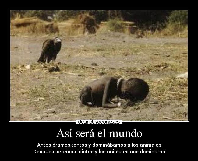 Así será el mundo - Antes éramos tontos y dominábamos a los animales
Después seremos idiotas y los animales nos dominarán