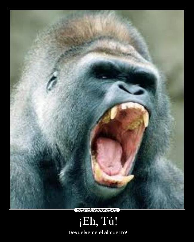 ¡Eh, Tú! - ¡Devuélveme el almuerzo!