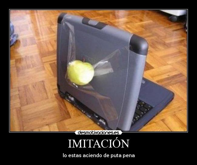 IMITACIÓN -