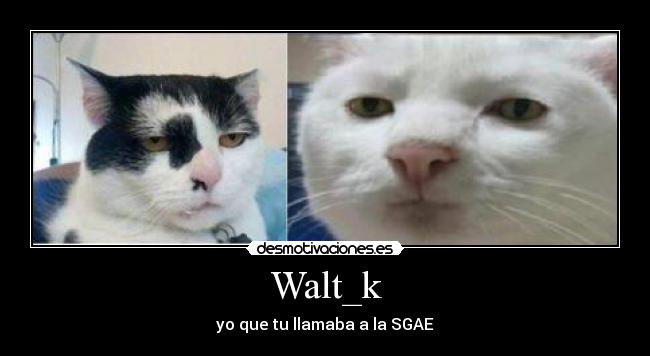 Walt_k - 