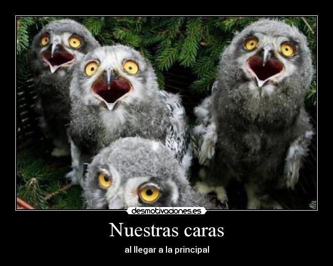 Nuestras caras - al llegar a la principal