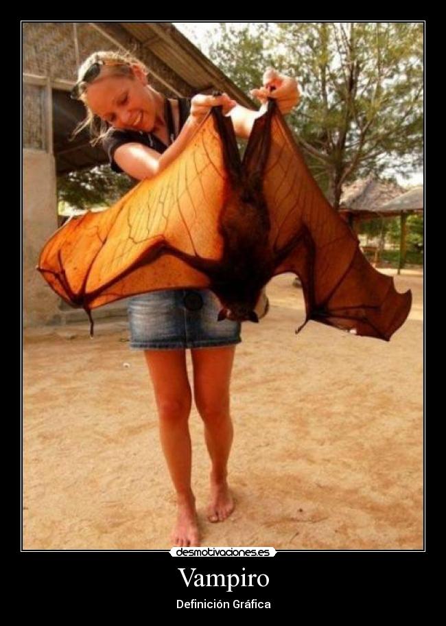 Vampiro - Definición Gráfica