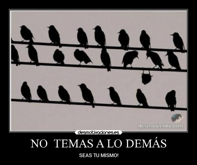 NO TEMAS A LO DEMÁS - SEAS TU MISMO!