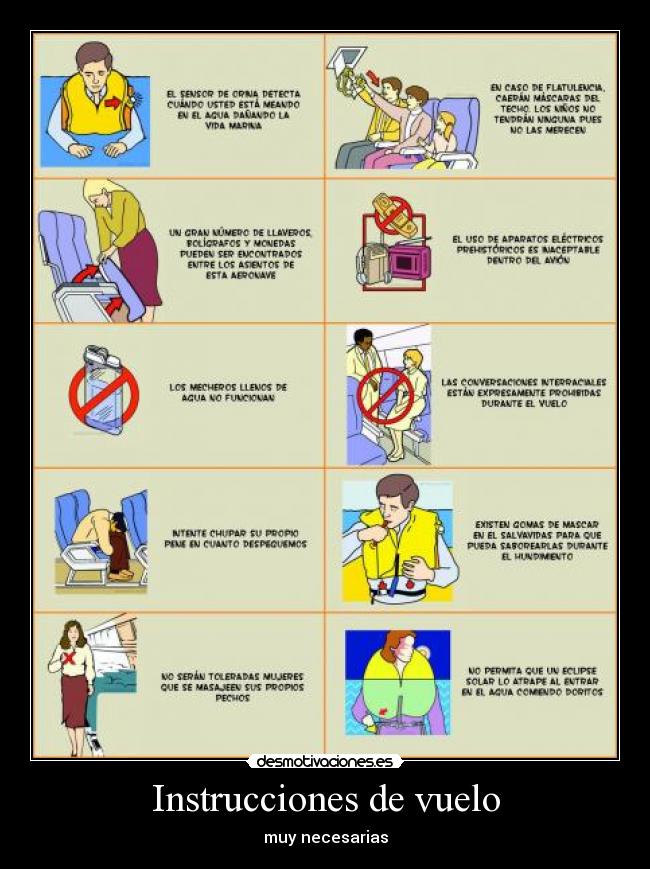 Instrucciones de vuelo -